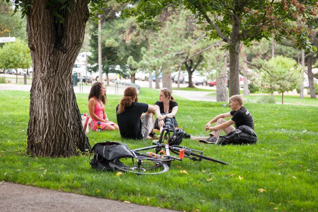 Students hanging out on the lawn